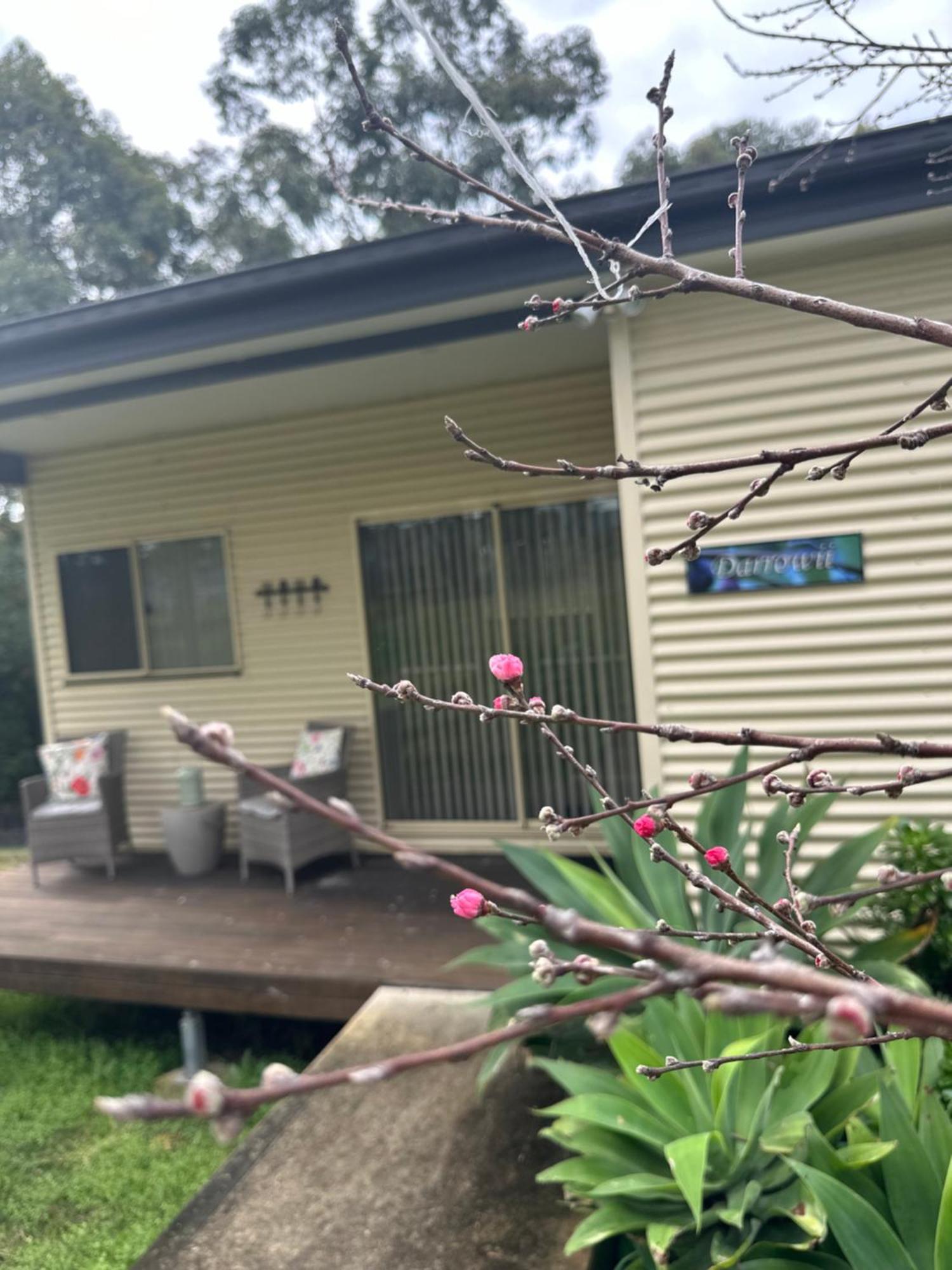 Blueberry Hills On Comleroy Farmstay - Self-contained * Kurrajong